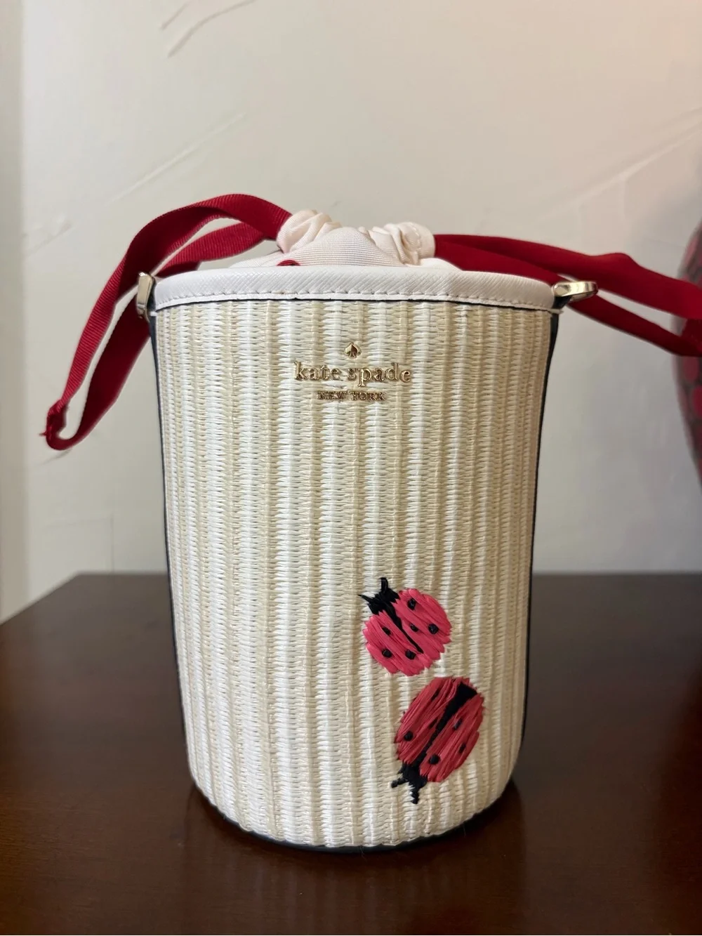 Kate Spade Dottie Ladybug Straw Embroidered Cylinder Crossbody Bag MSRP $349